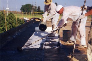 File0004 (2016 08 21 02 54 41 UTC)